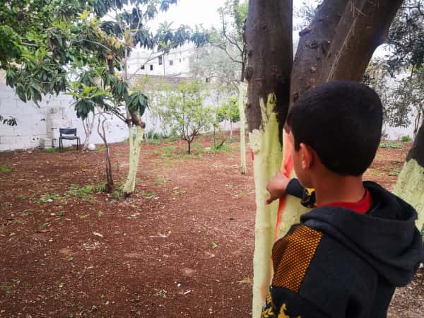 مخلص طفل يتيم من ريف حماة الشمالي