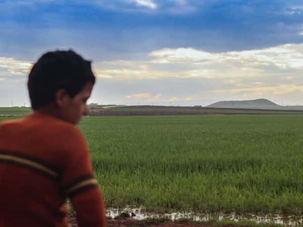 Corneal Diseases Fund