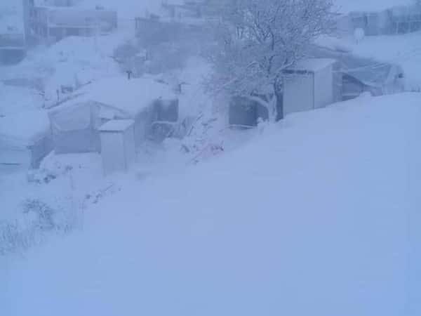 مخيمات عرسال 2