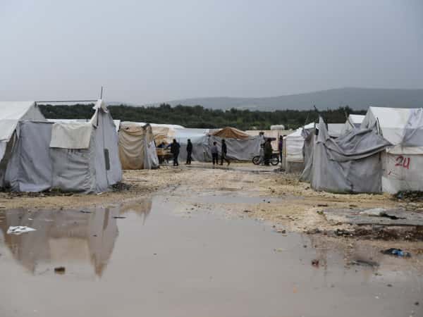 دير بلوط مش لحالكم !