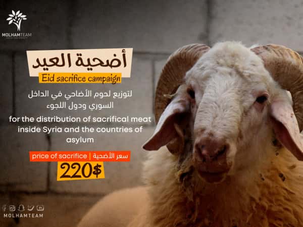 أضحية العيد 5