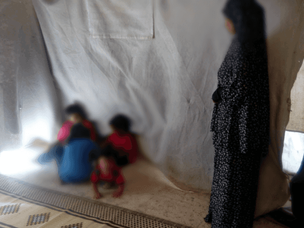Displacement response case_ Dair Ballut