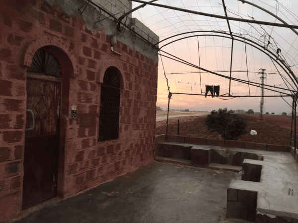 A family lives in an agricultural land