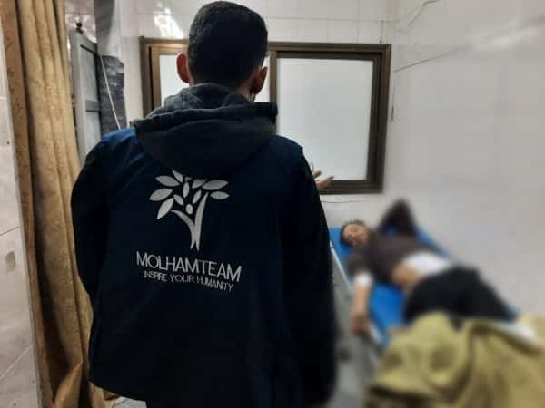 نورس بحاجة لرعاية طبيّة عاجلة