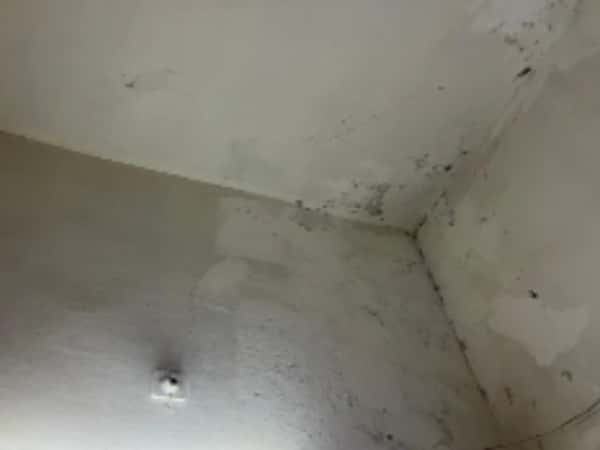 بيتٌ متصدّع وقلبٌ مثقل