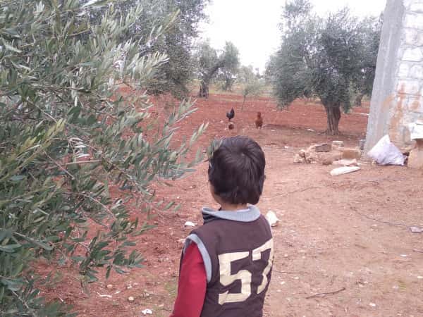 Houthaifa needs your urgent support
