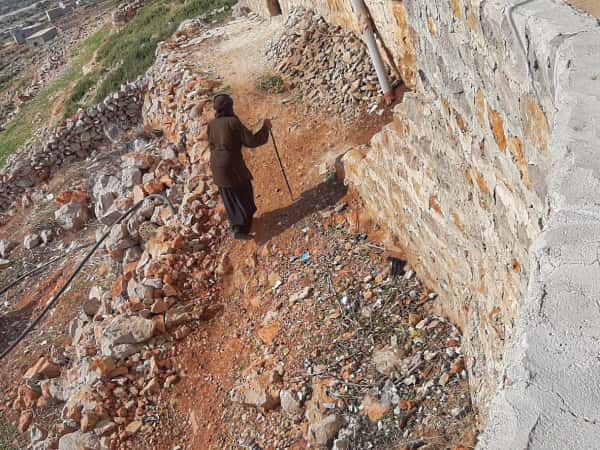 An elderly woman works in olive harvest and live in the mountain