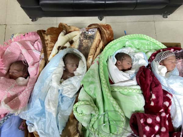 Twins need your help!
