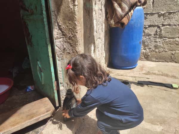 Nazlih is an orphan child from the southern countryside of Aleppo
