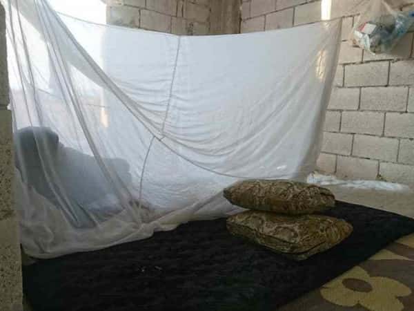 Displacement response_ Efrin