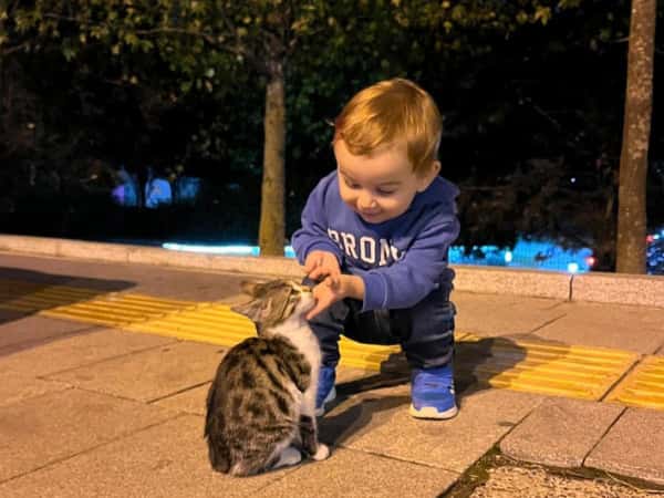 كأس العالم - WorldCup