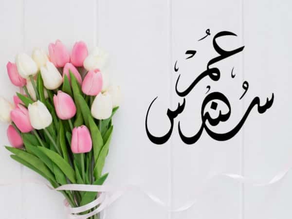 هدية زواج سندس وعمر