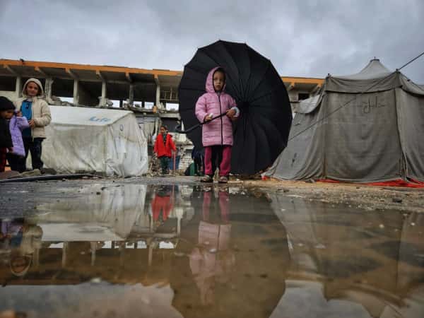 استجابة الشتاء - غزة