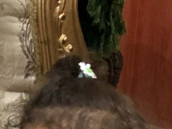 عيد ميلاد لينة يحيى عادل    9/11/2019