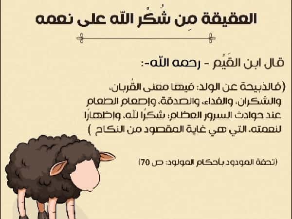 عقيقة المولود عمر عوض