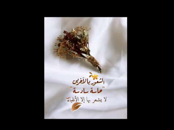 عيد ميلاد ماسة مع أطفالنا بالمخيمات