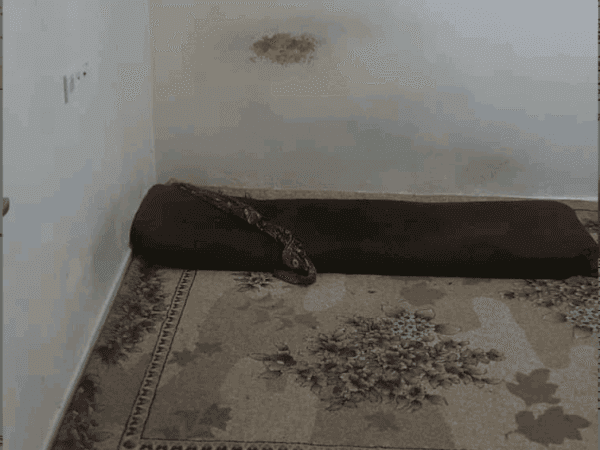 ِA Family living in an uninhabitable cellar!