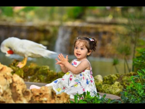 عيد ميلاد ميلا دعاس بعمر السنتين للاحتفال مع الاطفال