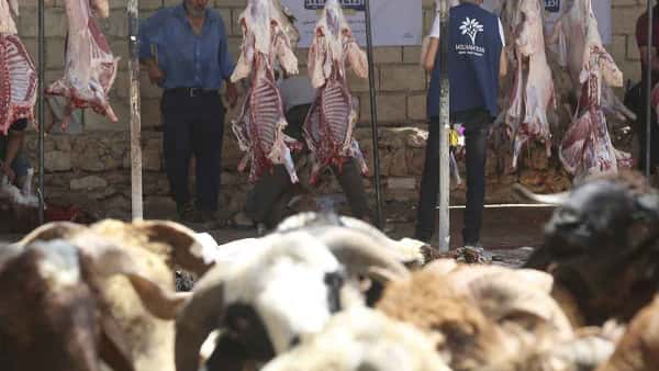 Eid Sacrifice – Can You Delegate It to Someone Abroad?