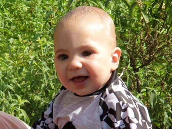 عقيقة مجد عموري