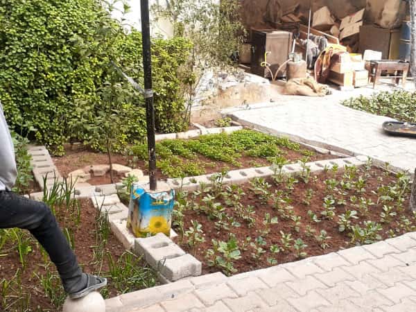 Youssef is an orphan child and needs your support