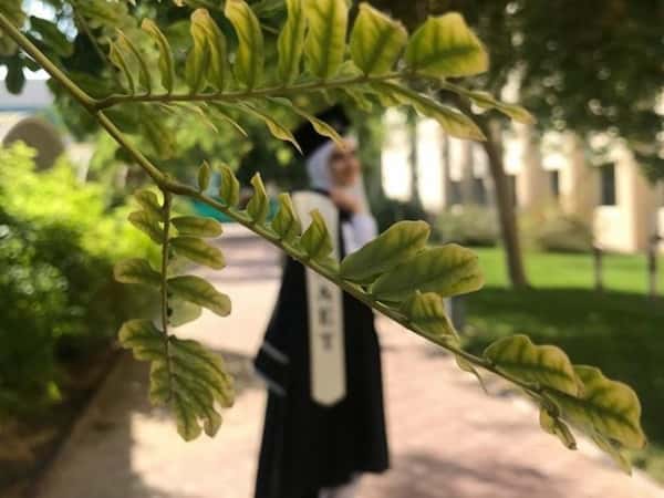 تخرجي عُلا - لأهل العز