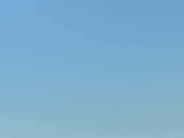 عقيقة عن Selma Fazlic