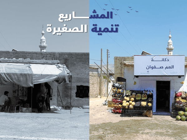 تنمية المشاريع الصغيرة