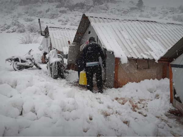خيرك دفا 15 - فلسطين