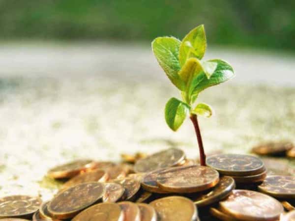 زكاة الفطرة والأموال