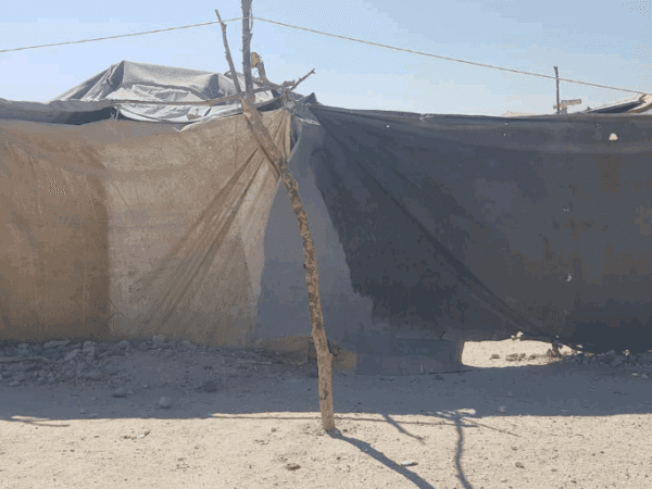 Displacement response case_ Dair Ballut