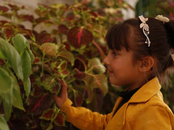 Hatoun is an orphan girl from Idlib