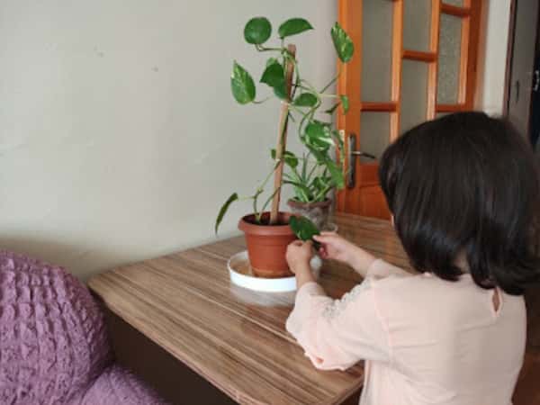 Hedaya, an orphan from Aleppo