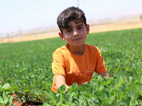 حسن طفل يتيم من ادلب