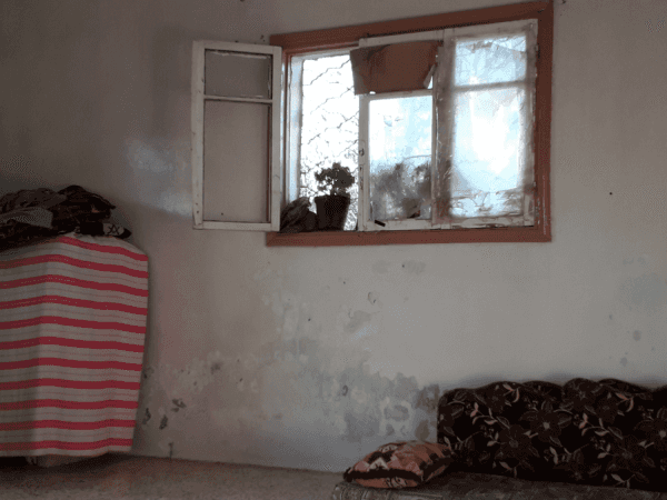 A family with no provider