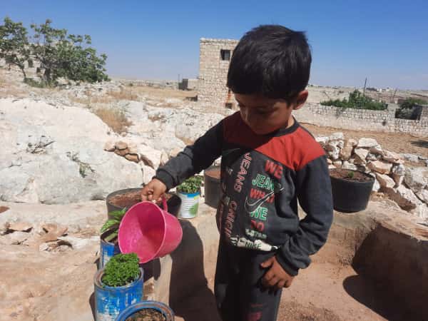 Ward - an orphan from Darat Azza in need of hlep