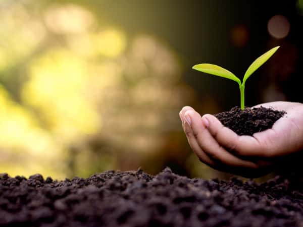 مسجد ومركز طلاب العلم في مرسين