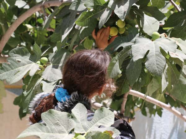 Shorouk, an orphan girl from Hama.