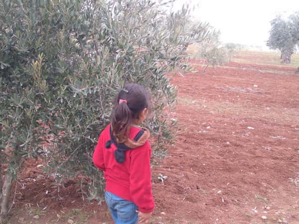 Aiyna'a is an orphaned girl, needs support