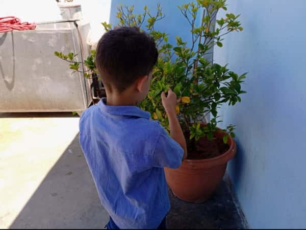 Yaseen from Idlib