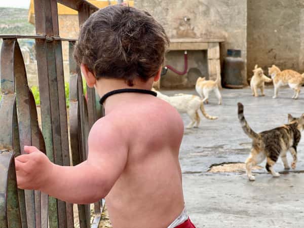 جميلة… وكتلة تكبر مع الخوف