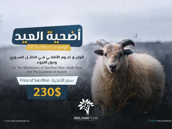 أضحية العيد ٦