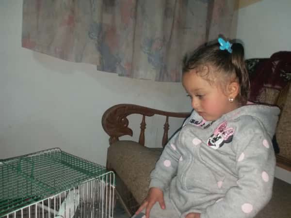Luay was orphaned due to the earthquake