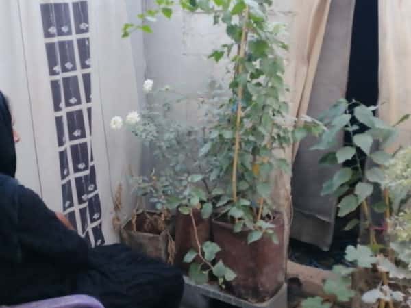 أرملة وأولادها اضطرّوا للنزوح ويعيشون دون معيل بحاجة لكرمكم