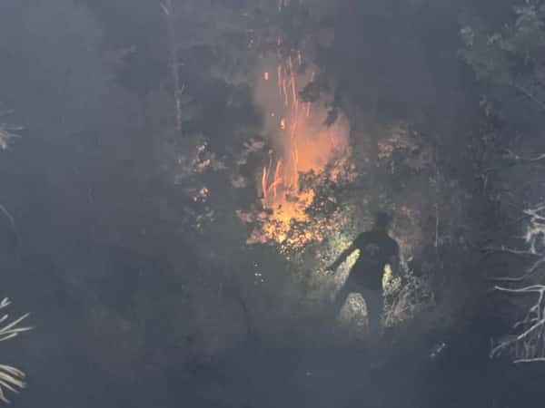 حرائق الساحل - استجابة طارئة