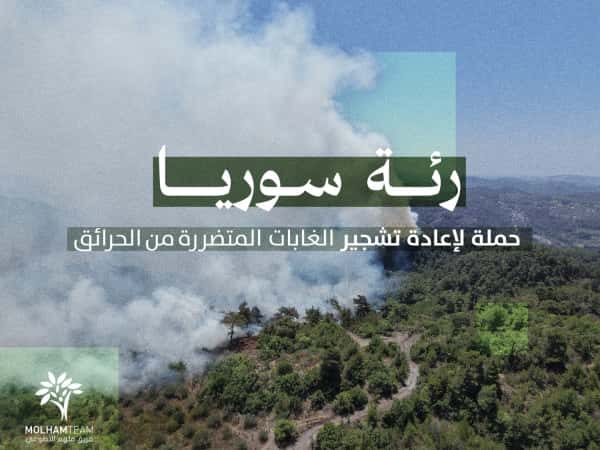 رئة سوريا - حملة لتشجير غابات سوريا المحروقة !