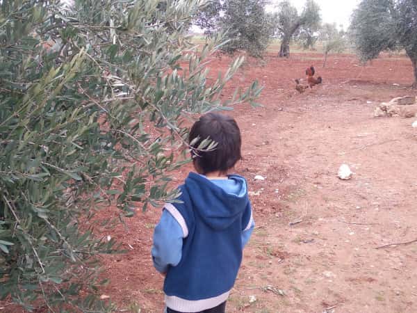 Ahmad is poor and needs your support