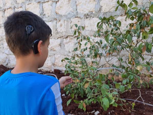 Mohammad needs a cochlear implant!