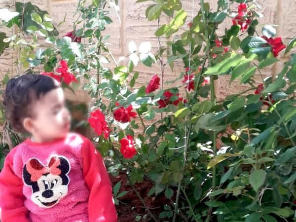 طفلة بحاجة عملية تنظير للرئتين.