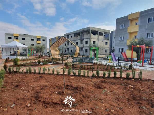 Bäume für die Wohnprojekte